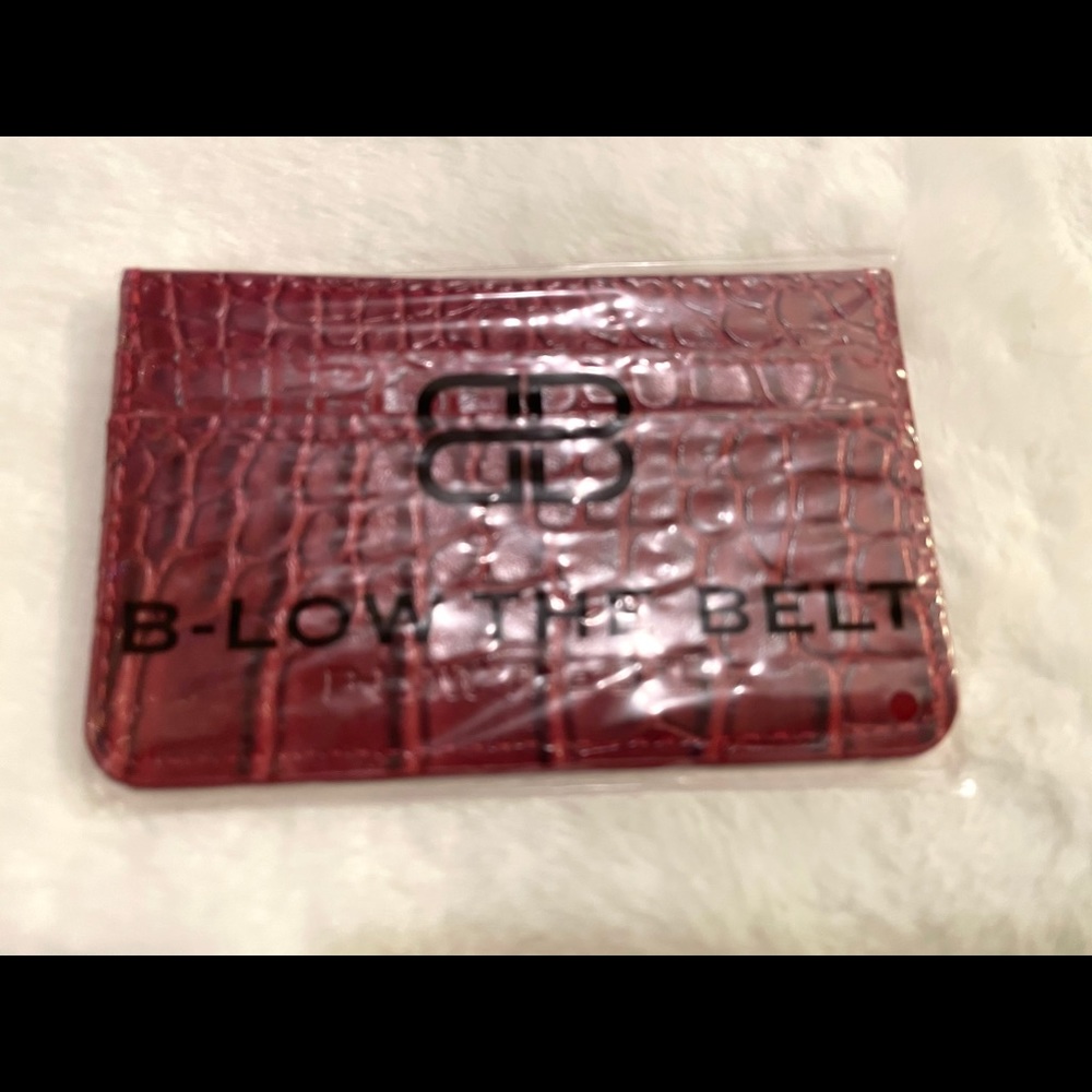 B-Low The Belt Card Case, Brand New,FabFitFun.